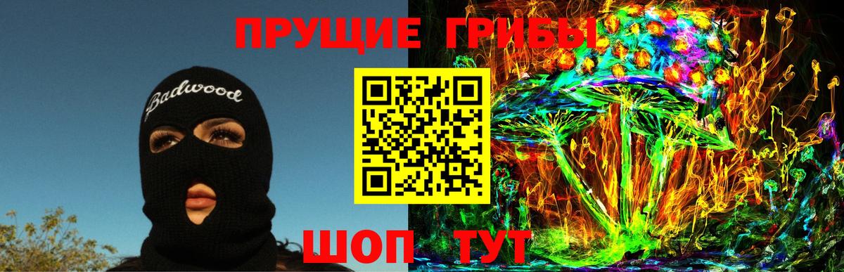 Мичуринск  Псилоцибиновые грибы Magic Shrooms  купить наркоту  Вход с VPN 